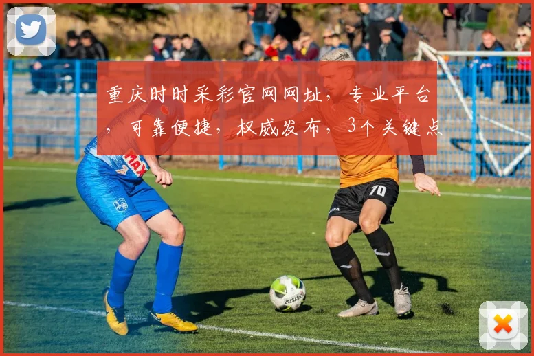 重庆时时采彩官网网址，专业平台，可靠便捷，权威发布，3个关键点，快速访问