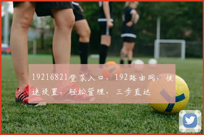 19216821登录入口，192路由网，快速设置，轻松管理，三步直达