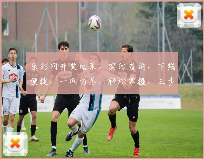 乐彩网开奖结果，实时查询，下载便捷，一网打尽，轻松掌握，三步搞定