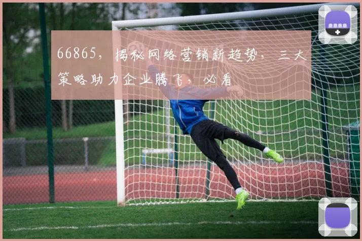 66865，揭秘网络营销新趋势，三大策略助力企业腾飞，必看